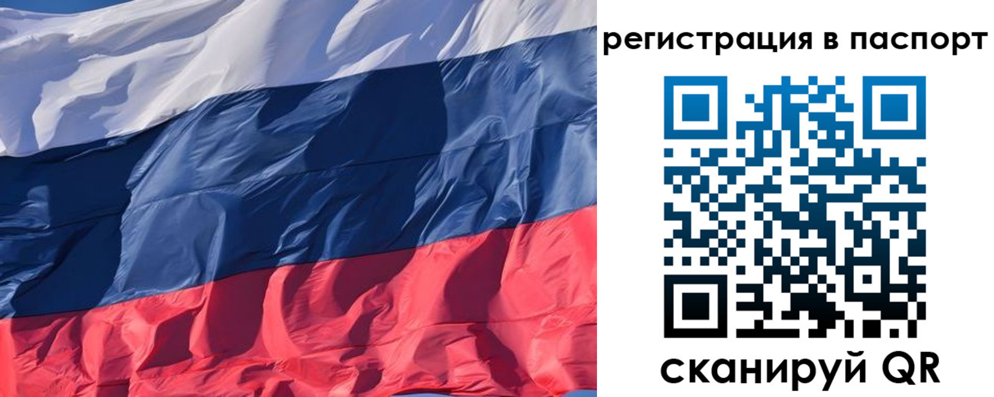 где прописаться в Курской области